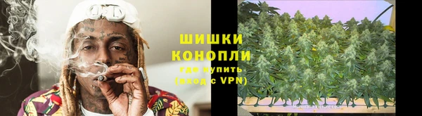 mdpv Богородск