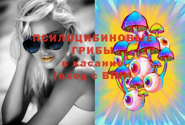 тгк Богданович