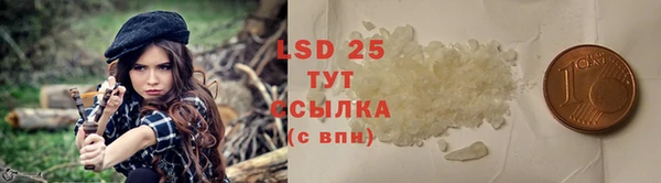 mdpv Богородск
