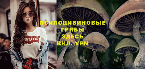 сатива Богородицк