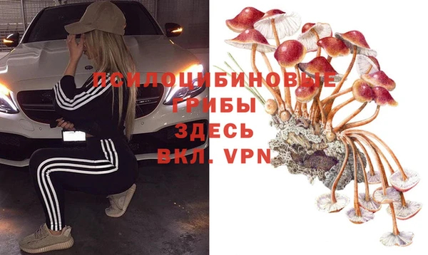 тгк Богданович