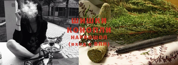 тгк Богданович