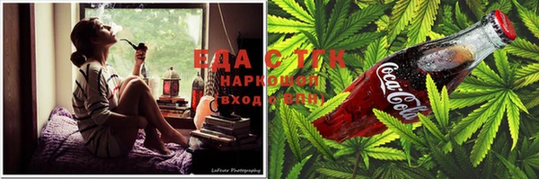 тгк Богданович