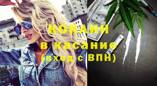 сатива Богородицк